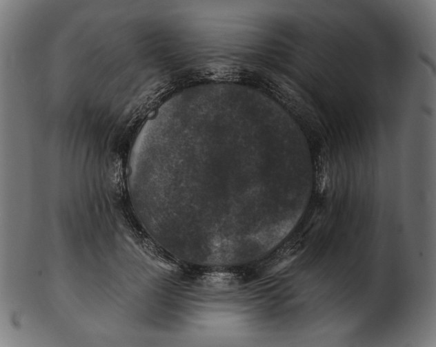 X0000103130748200809121731
