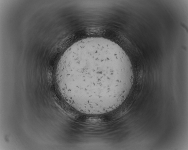 X0000103130749200809121731