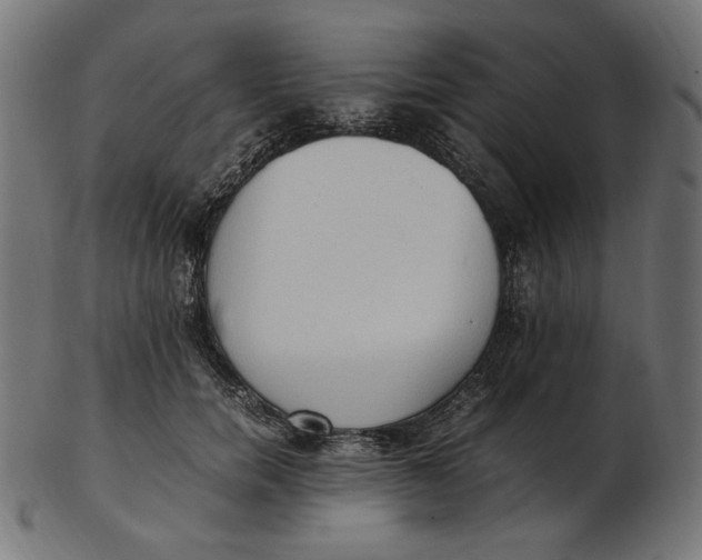 X0000103130750200809121731