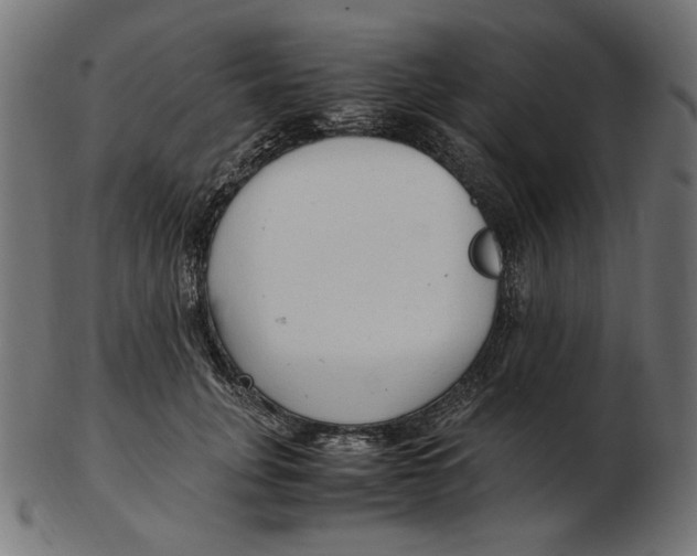 X0000103130751200809121731