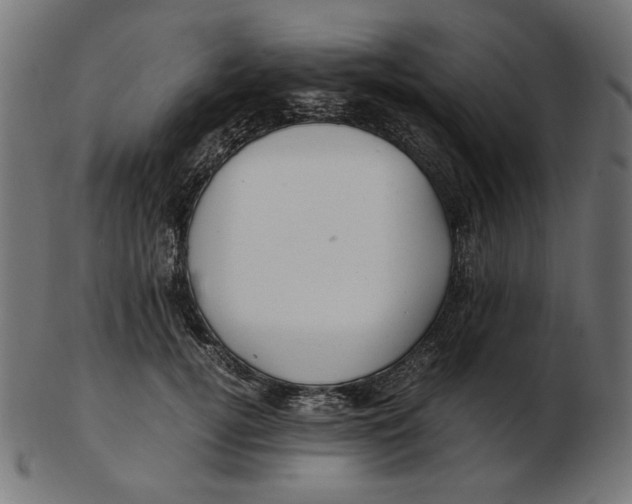 X0000103130752200809121731