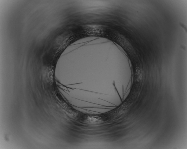 X0000103130753200809121731