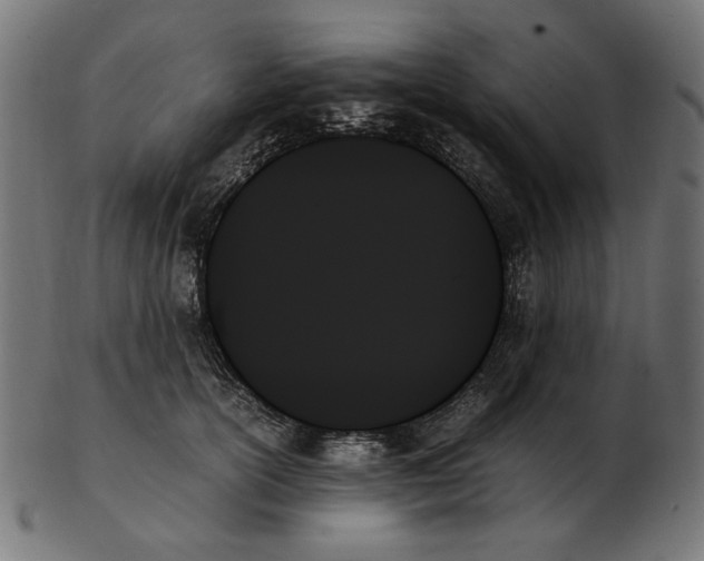 X0000103130754200809121731