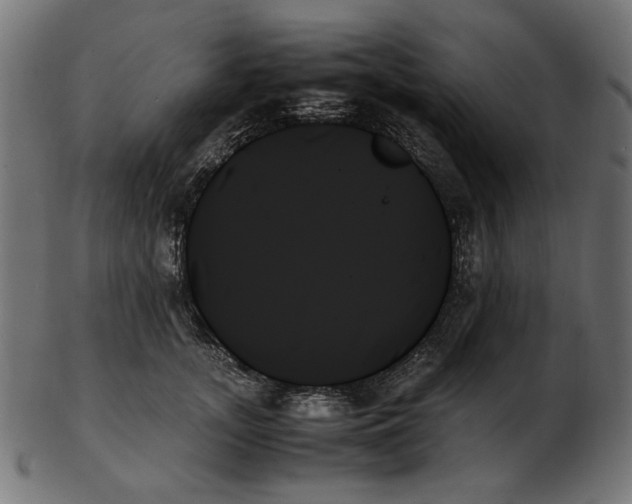 X0000103130755200809121731