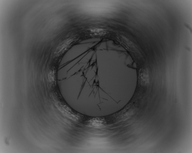 X0000103130756200809121731