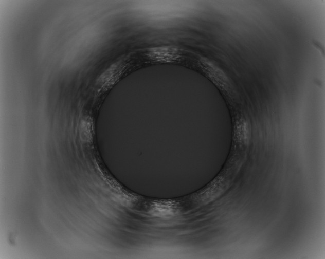 X0000103130757200809121731