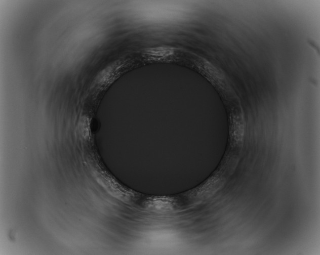 X0000103130758200809121731