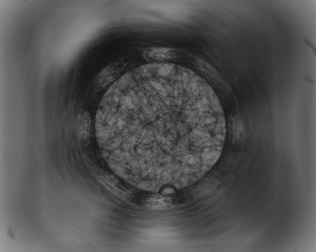 X0000103130760200809121731