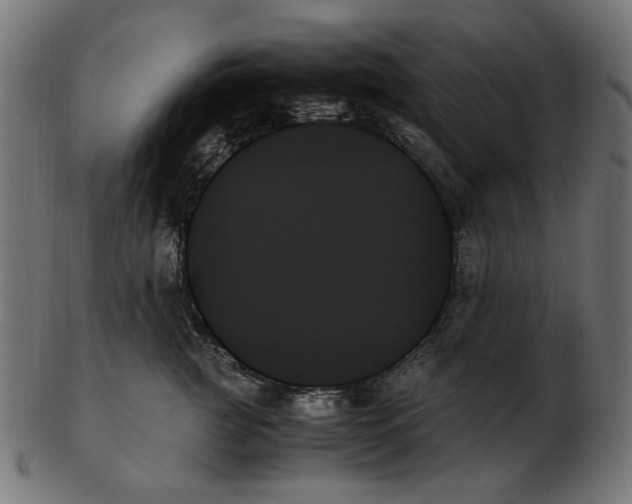 X0000103130761200809121731