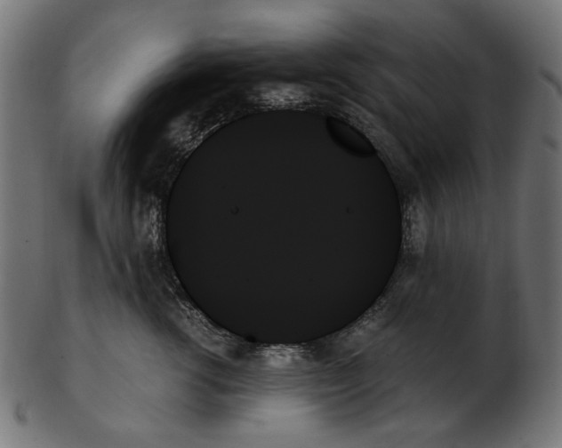 X0000103130762200809121731