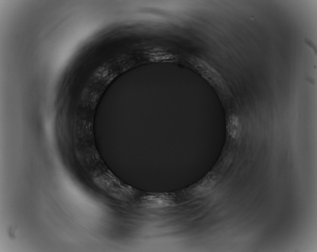 X0000103130763200809121731