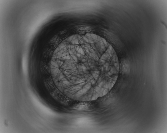 X0000103130764200809121731