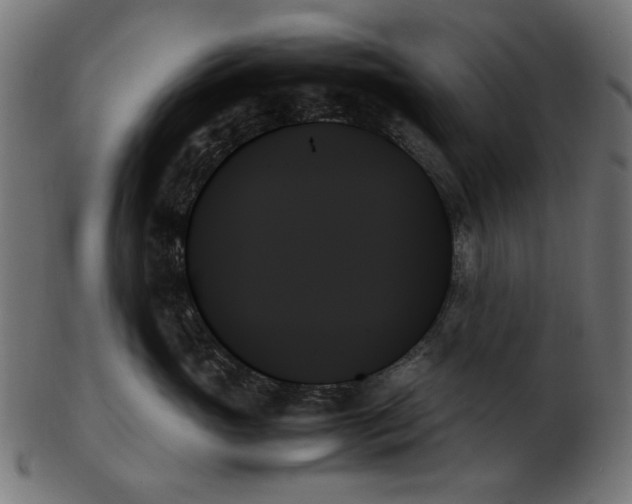 X0000103130765200809121731