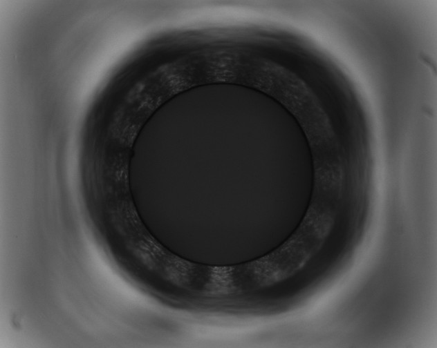X0000103130766200809121731