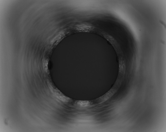 X0000103130767200809121731