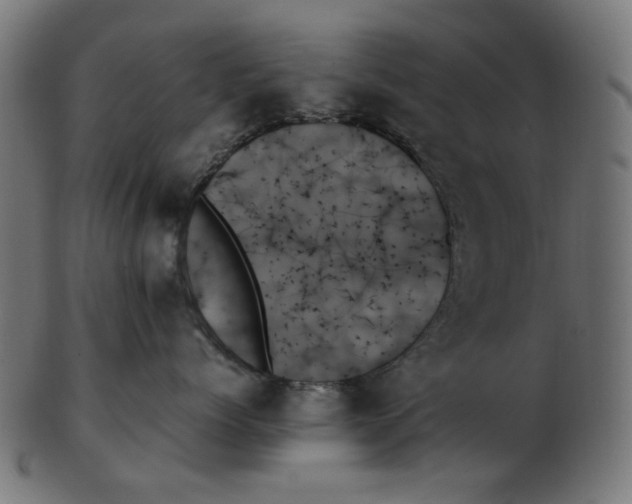 X0000103130768200809121732