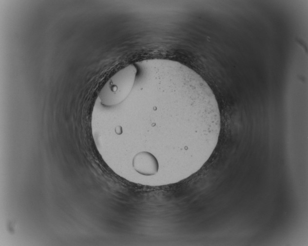 X0000103130769200809121731