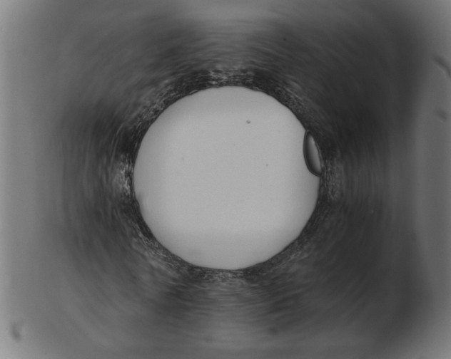 X0000103130770200809121731