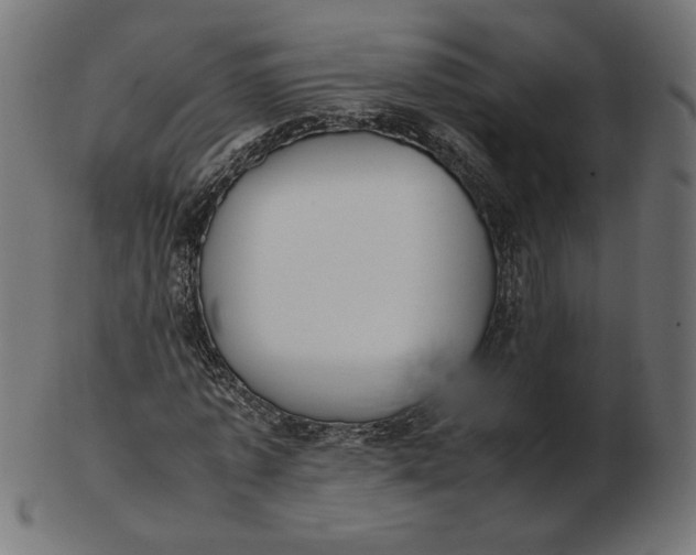 X0000103130773200809121731