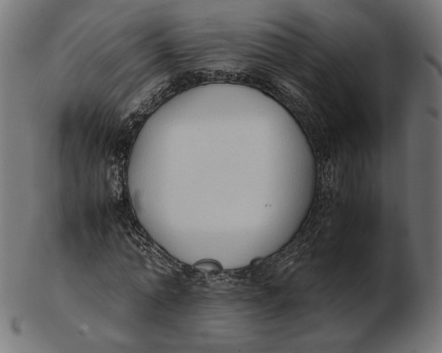 X0000103130774200809121731