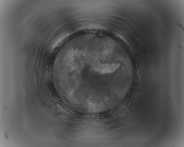 X0000103130775200809121731