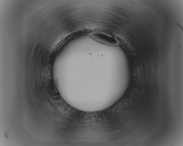 X0000103130776200809121731