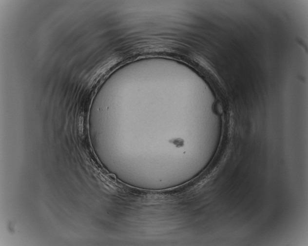 X0000103130777200809121731