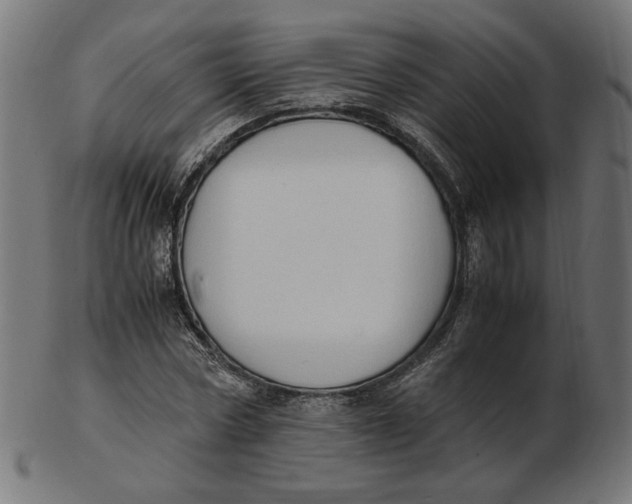X0000103130778200809121731