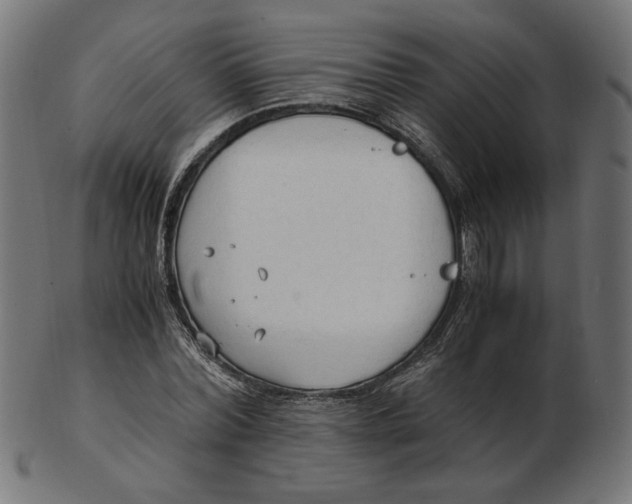 X0000103130780200809121731