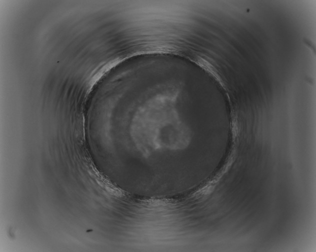 X0000103130781200809121731