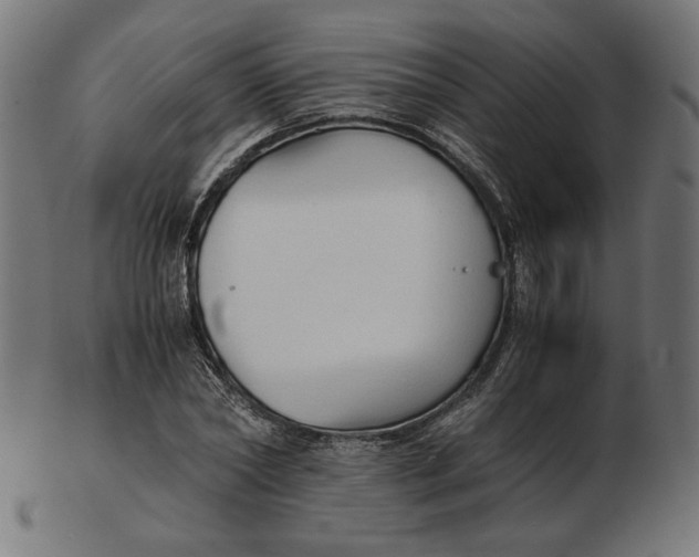 X0000103130782200809121731