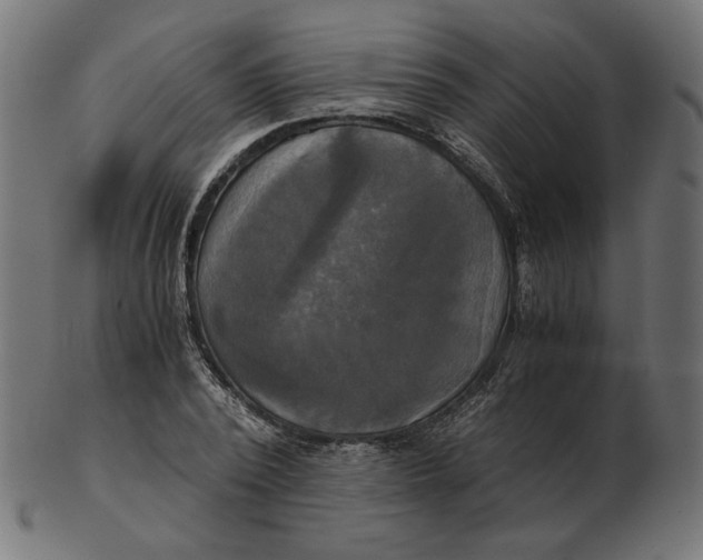 X0000103130784200809121731