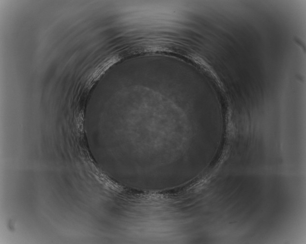 X0000103130785200809121731