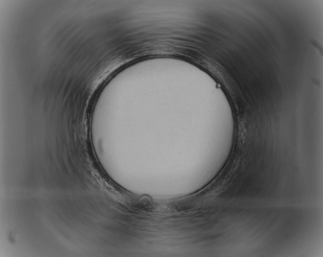 X0000103130787200809121731