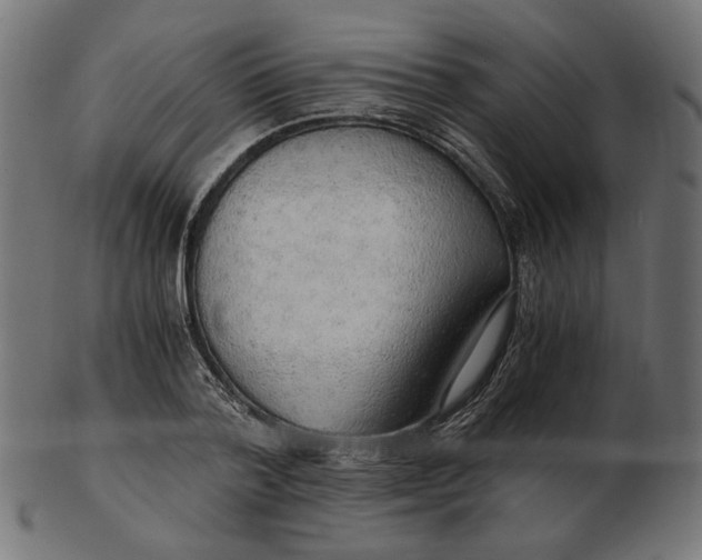 X0000103130788200809121731