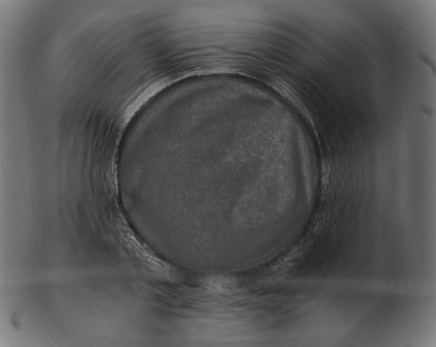 X0000103130789200809121731