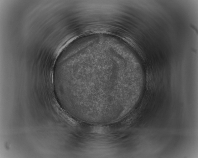 X0000103130790200809121731