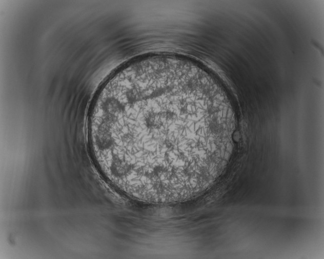 X0000103130791200809121731