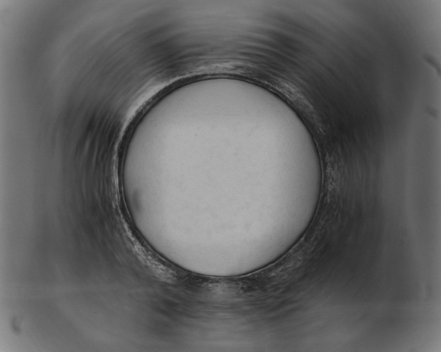 X0000103130792200809121731