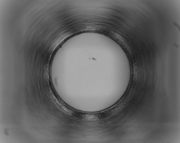 X0000103130794200809121730
