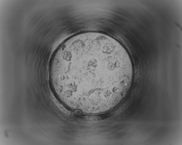 X0000103130795200809121730