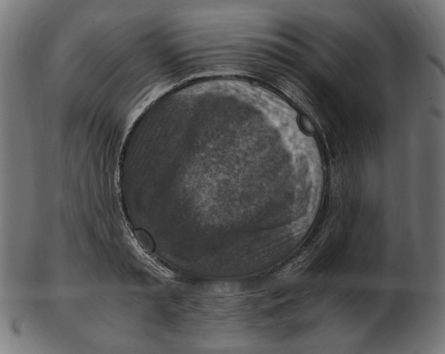 X0000103130797200809121730