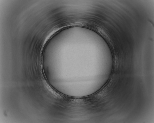 X0000103130800200809121730