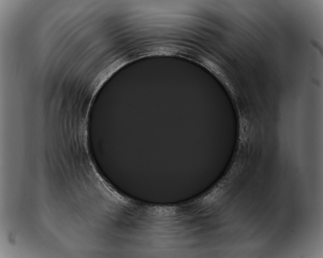X0000103130802200809121730