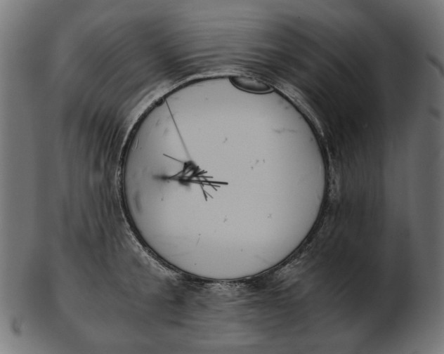 X0000103130805200809121730