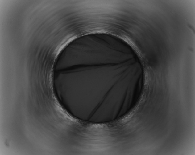 X0000103130806200809121730