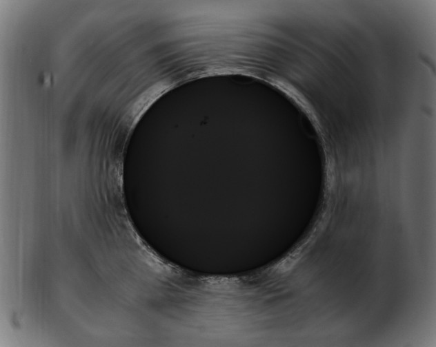 X0000103130809200809121730