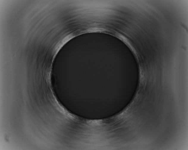 X0000103130810200809121730