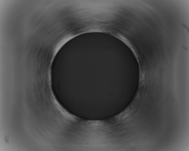 X0000103130811200809121730