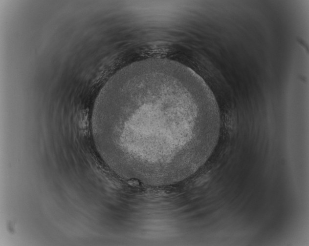 X0000103130818200809121729